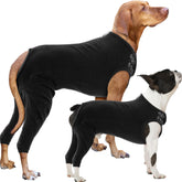 Nanaki veste soin chien fermeture dos pratique et protection des sutures