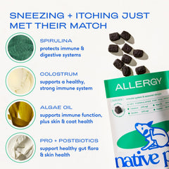 Native Pet Allergy Chews: spiruline, nutriment pour la vitalité canine.