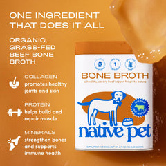 Native Pet bouillon os boeuf pour chiens, apport potentiel d'hydratation et énergie