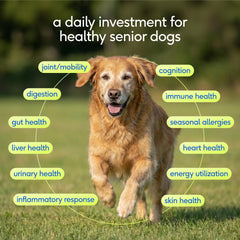 Doseur-poudre Native Pet Senior facilite l'ajout quotidien à la nourriture.