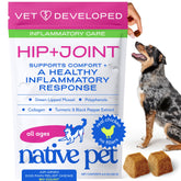 Native Pet Inflammatory Care – bouteille montrant l'emballage, soutien potentiel à la mobilité articulaire.