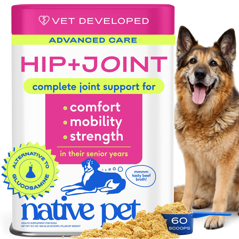 Native Pet Poudre hanche articulation: soutien mobilité chiens âgés.