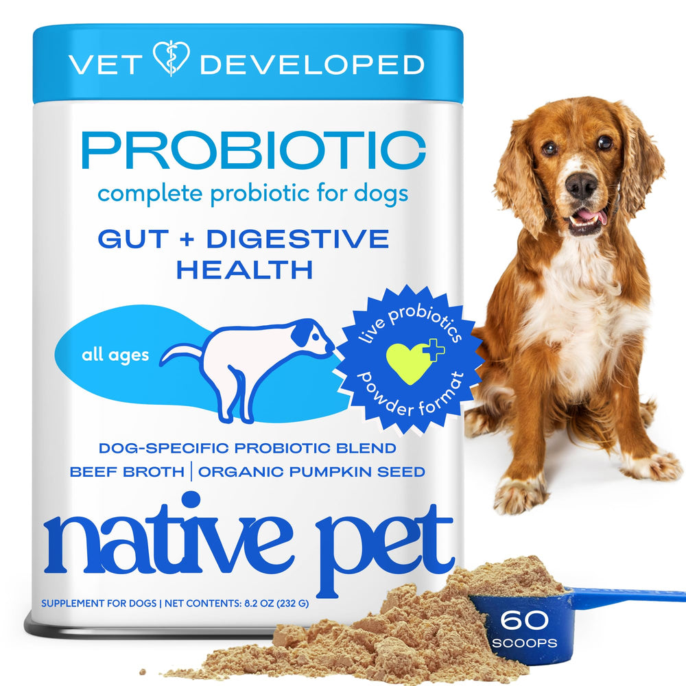 Native Pet Probiotiques pour Chiens poudre vue de près avec bénéfice digestif possible