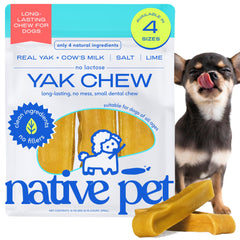 Native Pet Yak Cheese Himalayen, bâtonnet dentaire durable pour petits chiens.