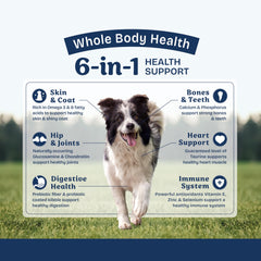 Natural Balance Health Protection : bienfaits 6-en-1 pour une alimentation complète et équilibrée.