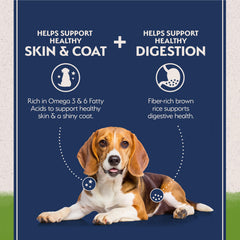 Natural Balance recette végétarienne pour chien avec protéines végétales et légumes.