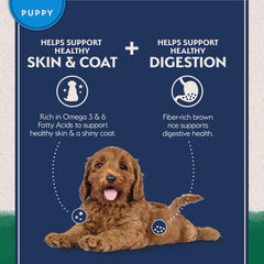 Natural Balance riz brun, fibres pour digestion douce du chiot.