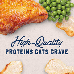 Natural Balance Original Ultra Grain Free chat pate – topper croquettes pour plus de goût