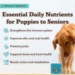 Natural Dog Company – friandises molles aromatisées qui plaisent aux chiens