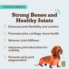 doseur liquide Natural Dog Company versant sur nourriture chien