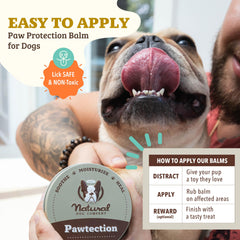 Natural Dog Company Pawtection ingrédients naturels et hydratants.