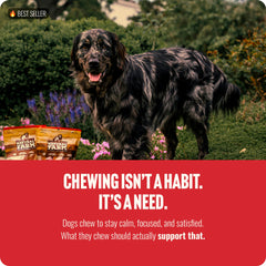 Natural Farm Bully Sticks soin dentaire potentiel, 4 pouces pour l'entretien buccal.
