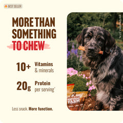 Natural Farm os-boeuf-extra-gros en action pour une mastication prolongée