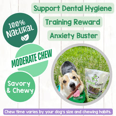 Nature Gnaws batonnet boeuf texture savoureuse qui divertit votre chien.