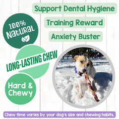 Nature Gnaws dentition durable, récompense savoureuse pour chien