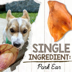 Nature Gnaws Oreilles de porc – récompense naturelle pour chiens actifs et mordilleurs.