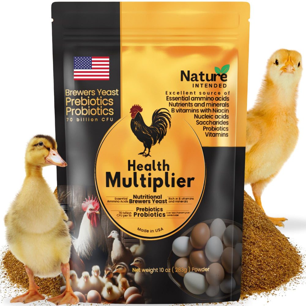 Nature INTENDED levure de bière et probiotiques en bouteille pour le microbiome aviaire
