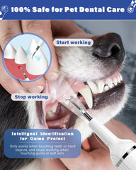 Nature Nerds tete-brosse-animaux-remplacement: douceur ciblée pour gencives sensibles.