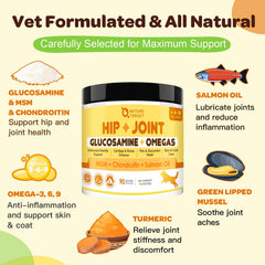 Cuillère-doseur avec poudre glucosamine pour chiens et dosage personnalisable.