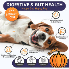 Probiotiques Nature Target pour chiens, prébiotiques et enzymes pour digestion équilibrée.