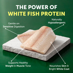 Protéine poisson blanc hautement digestible de Nature's Protection.