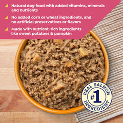 Nature's Recipe vitamines et minéraux: image nutriments essentiels naturels