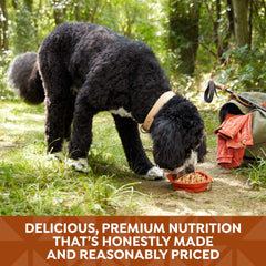 Nature’s Recipe poulet et canard sans grain bouillon, présentation attrayante pour chiens gourmands.