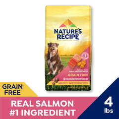Croquettes saumon et patate douce de Nature's Recipe, adaptées aux chiens actifs.