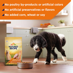 Nature's Recipe sec chien sans maïs blé soja, formule naturelle.