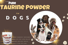 Taurine en poudre mélangée dans nourriture humide, dosage simple et sûr.