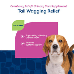 NaturVet Cranberry Relief Plus Echinacea: étiquette claire avec dosage recommandé.