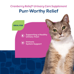 NaturVet Cranberry Relief Plus Echinacea pour chats — emballage 60 ct, vérification des informations
