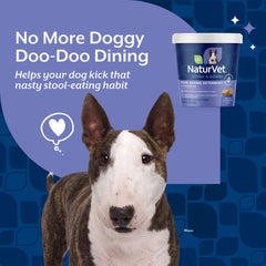 Enzymes et probiotiques dans NaturVet favorisent une digestion douce pour chien.