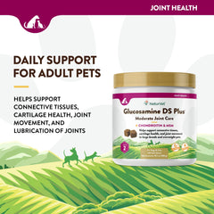 NaturVet Glucosamine DS Plus – bouteille et dosage, utilisation pratique.