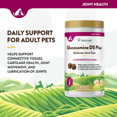 NaturVet Glucosamine DS Plus – étiquette claire affichant les ingrédients actifs.