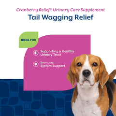 NaturVet gommes pour chiens – friandises molles attrayantes pour le quotidien