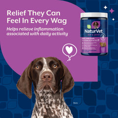 Ingrédients NaturVet glucosamine chondroïtine MSM pour articulations