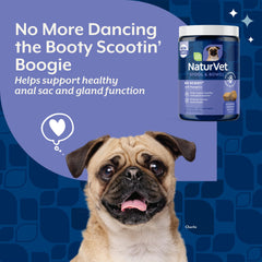 NaturVet No Scoot – segment citrouille, ingrédient naturel pour soutenir l’apport en fibres.