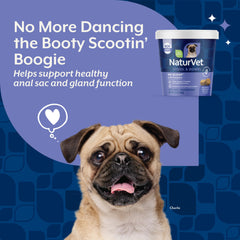 NaturVet No Scoot psyllium-husk: fibre soluble pour selles plus faciles