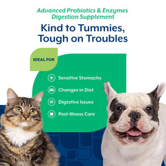 NaturVet PB6 – formulation vétérinaire pour estomacs sensibles chiens et chats