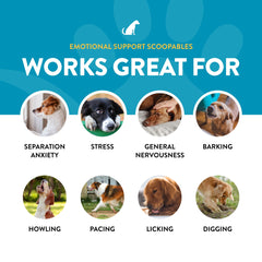 Chiens en routine calme grâce à NaturVet Scoopables, usage quotidien.