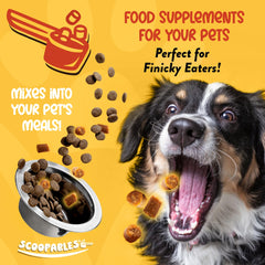 NaturVet Scoopables: sachet 11oz bacon, saveur appréciée par les chiens.