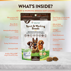NaturVet Sport Supplement – friandises molles appréciées par les chiens actifs