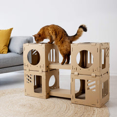 Navaris maison chat carton modulaire ponts, parcours entre cubes.
