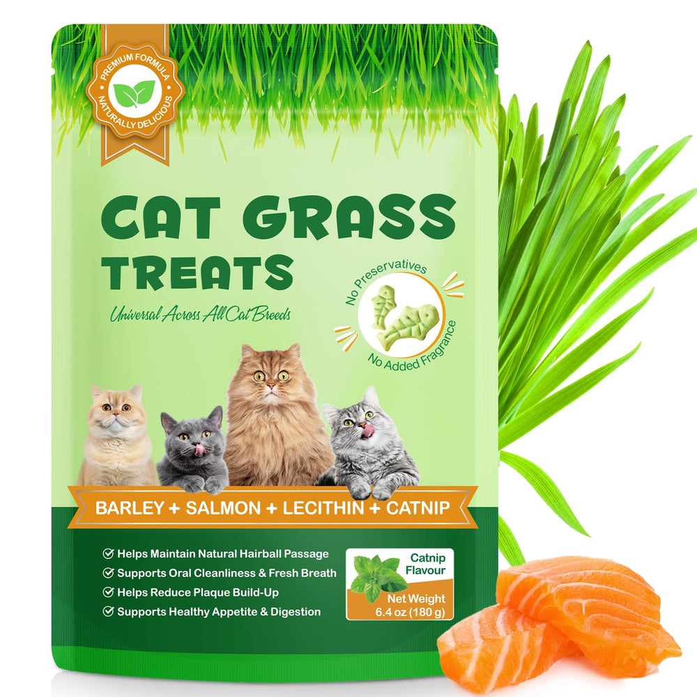 NB TREKTIE friandises dentaires à base d’herbe-chat pour une bouche saine
