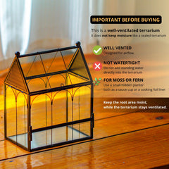 NCYP terrarium en verre non étanche, usage sec idéal.