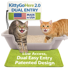 KittyGoHere 2.0, boîte-litière ouverte, accès facilité pour chats seniors.