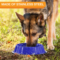 Dos du bol Neater Pet Brands bleu granité anti glisse.