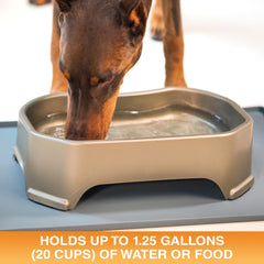 Neater Pet Brands bol eau chien exterieur anti-renversement réduit les éclaboussures.