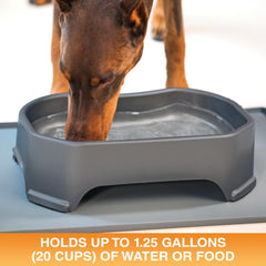 Bol Neater Pet Brands d’eau 1,25 gal pratique et généreux.